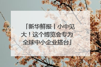 新华鲜报丨小中见大！这个博览会专为全球中小企业搭台