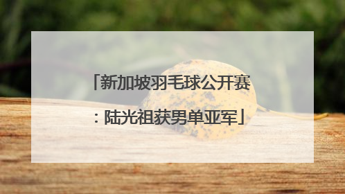 新加坡羽毛球公开赛：陆光祖获男单亚军