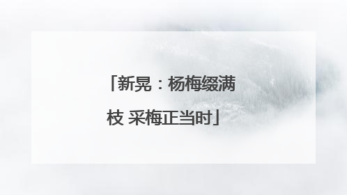 新晃：杨梅缀满枝 采梅正当时