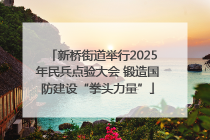 新桥街道举行2025年民兵点验大会 锻造国防建设“拳头力量”