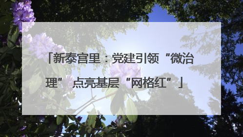 新泰宫里：党建引领“微治理” 点亮基层“网格红”