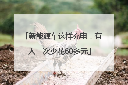 新能源车这样充电，有人一次少花60多元