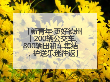 新青年·更好德州丨200辆公交车、800辆出租车集结，护送乐迷往返