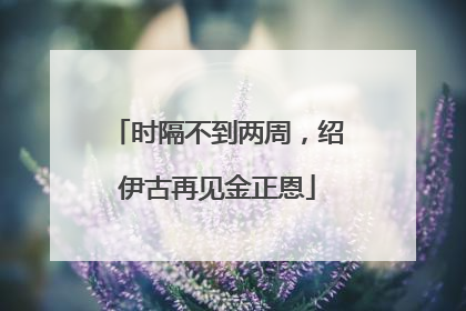 时隔不到两周，绍伊古再见金正恩