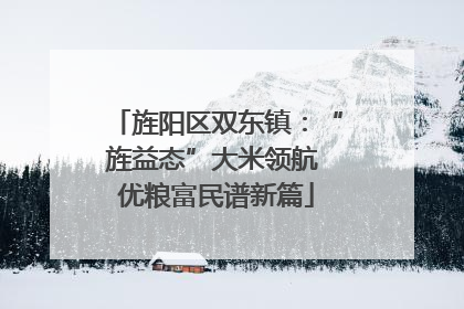 旌阳区双东镇：“旌益态”大米领航 优粮富民谱新篇