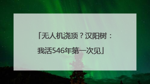 无人机浇顶？汉阳树：我活546年第一次见