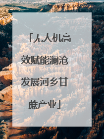 无人机高效赋能澜沧发展河乡甘蔗产业