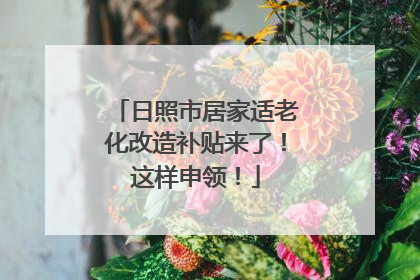 日照市居家适老化改造补贴来了！这样申领！