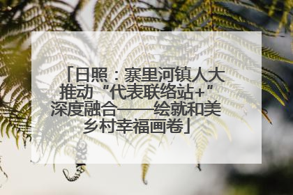 日照：寨里河镇人大推动“代表联络站+”深度融合——绘就和美乡村幸福画卷