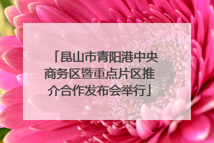 昆山市青阳港中央商务区暨重点片区推介合作发布会举行