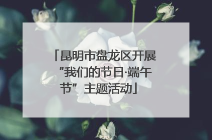 昆明市盘龙区开展“我们的节日·端午节”主题活动