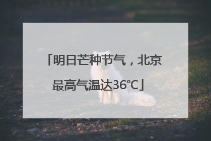 明日芒种节气，北京最高气温达36℃