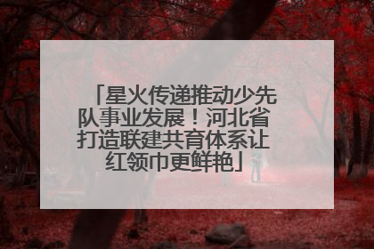 星火传递推动少先队事业发展！河北省打造联建共育体系让红领巾更鲜艳