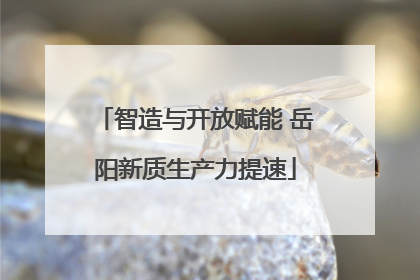 智造与开放赋能 岳阳新质生产力提速