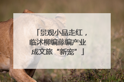 景观小品走红，临沭柳编藤编产业成文旅“新宠”