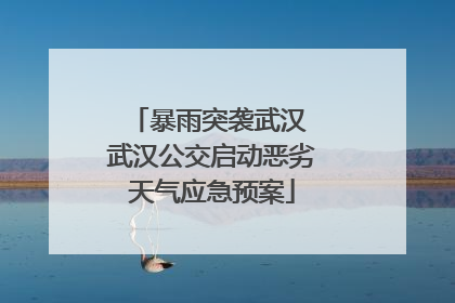暴雨突袭武汉 武汉公交启动恶劣天气应急预案
