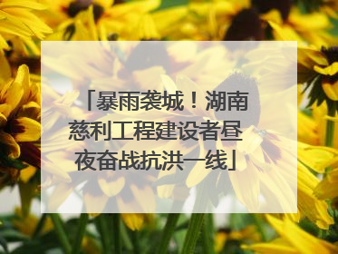 暴雨袭城！湖南慈利工程建设者昼夜奋战抗洪一线