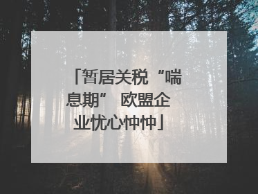 暂居关税“喘息期” 欧盟企业忧心忡忡