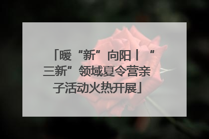 暖“新”向阳丨“三新”领域夏令营亲子活动火热开展