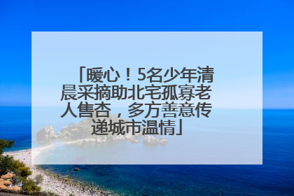 暖心！5名少年清晨采摘助北宅孤寡老人售杏，多方善意传递城市温情