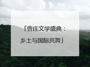 曹庄文学盛典：乡土与国际共舞