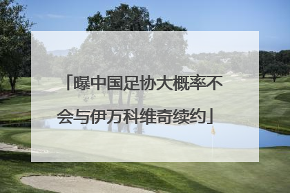 曝中国足协大概率不会与伊万科维奇续约