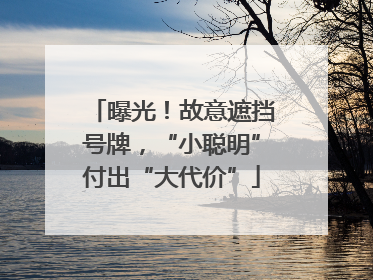 曝光！故意遮挡号牌，“小聪明”付出“大代价”