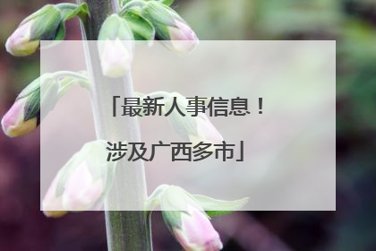 最新人事信息！涉及广西多市