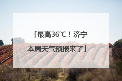 最高36℃！济宁本周天气预报来了