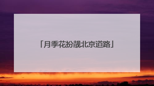 月季花扮靓北京道路