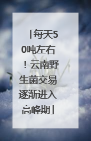 每天50吨左右！云南野生菌交易逐渐进入高峰期