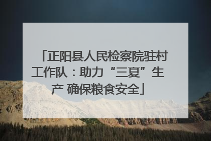 正阳县人民检察院驻村工作队：助力“三夏”生产 确保粮食安全