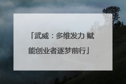 武威：多维发力 赋能创业者逐梦前行