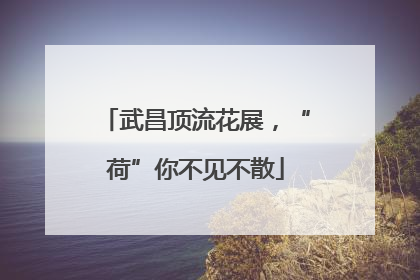 武昌顶流花展，“荷”你不见不散