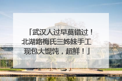 武汉人过早莫错过！北湖路梅氏三姊妹手工现包大馄饨，超鲜！