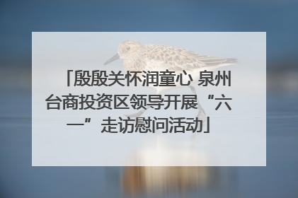 殷殷关怀润童心 泉州台商投资区领导开展“六一”走访慰问活动