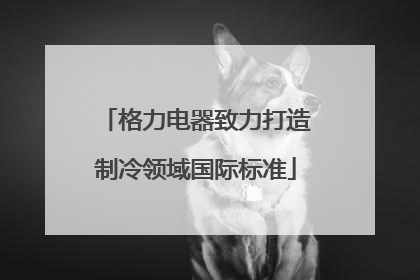 格力电器致力打造制冷领域国际标准