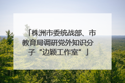 株洲市委统战部、市教育局调研党外知识分子“边颖工作室”