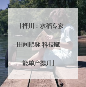 桦川：水稻专家田间把脉 科技赋能单产提升