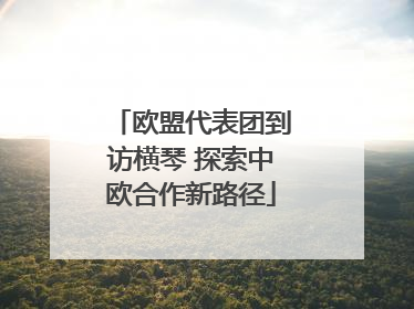 欧盟代表团到访横琴 探索中欧合作新路径