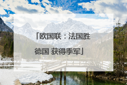 欧国联：法国胜德国 获得季军
