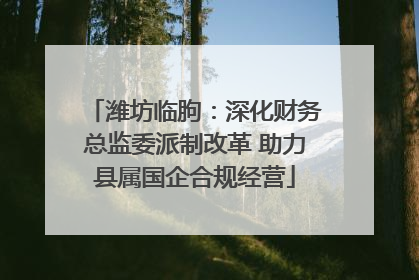 潍坊临朐：深化财务总监委派制改革 助力县属国企合规经营