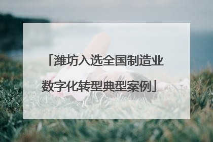 潍坊入选全国制造业数字化转型典型案例
