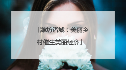 潍坊诸城：美丽乡村催生美丽经济