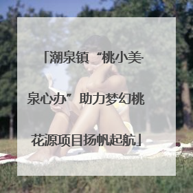 潮泉镇“桃小美·泉心办”助力梦幻桃花源项目扬帆起航