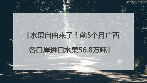 水果自由来了！前5个月广西各口岸进口水果56.8万吨