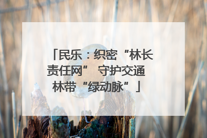 民乐：织密“林长责任网” 守护交通林带“绿动脉”