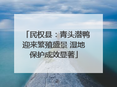 民权县：青头潜鸭迎来繁殖盛景 湿地保护成效显著
