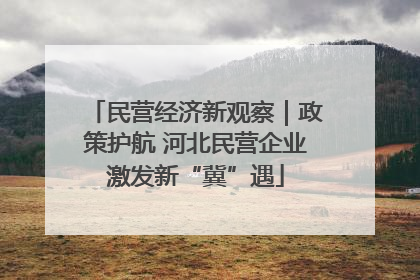 民营经济新观察｜政策护航 河北民营企业激发新“冀”遇