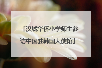 汉城华侨小学师生参访中国驻韩国大使馆